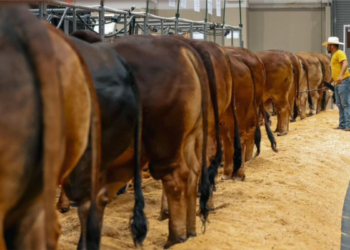 Según las principales autoridades del país, EEUU añadió 227.000 nuevos empleos en el mes de noviembre