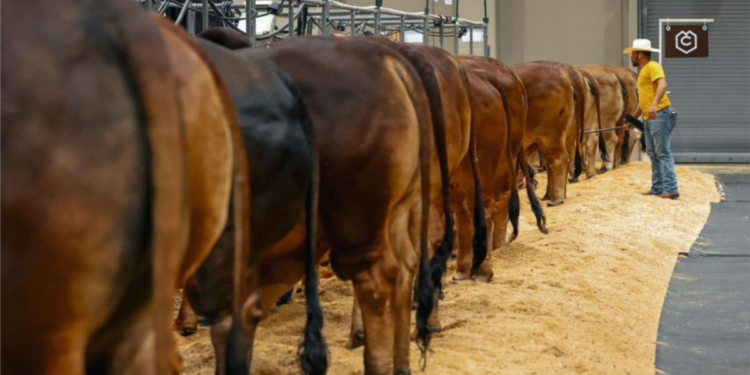 Según las principales autoridades del país, EEUU añadió 227.000 nuevos empleos en el mes de noviembre