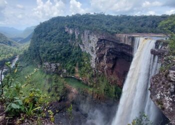 Comando Sur en la frontera y Milei en Mercosur, cambios para la política regional y Venezuela