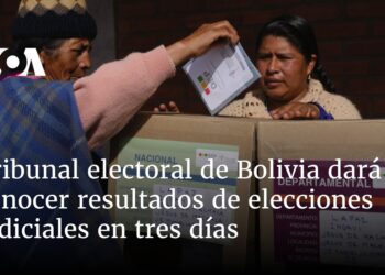 Tribunal electoral de Bolivia dará a conocer resultados de elecciones judiciales en tres días