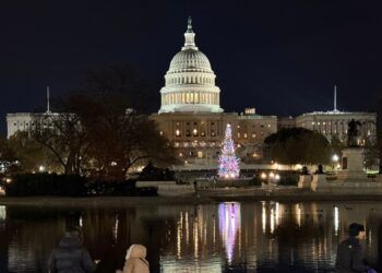 EEUU AL DIA | 12/10/2024