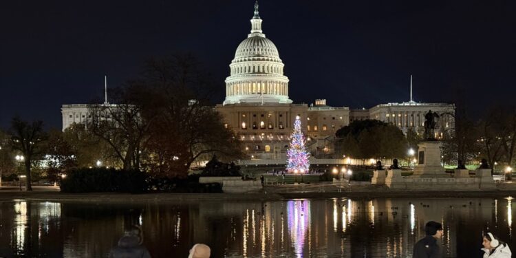 EEUU AL DIA | 12/10/2024