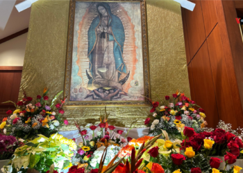 En Fotos | Música, danza y tradición por la Virgen de Guadalupe en EEUU