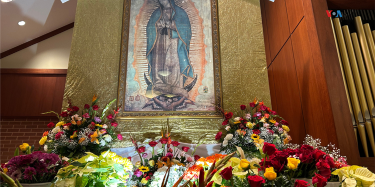 En Fotos | Música, danza y tradición por la Virgen de Guadalupe en EEUU