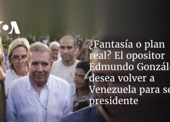 ¿Fantasía o plan real? El opositor Edmundo González desea volver a Venezuela para ser presidente