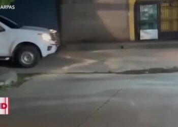 Preocupación por allanamiento a casa de periodista comunitaria salvadoreña