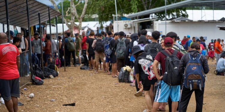 UNICEF alerta sobre récord de niños migrantes no acompañados América Latina, clama por ayuda urgente