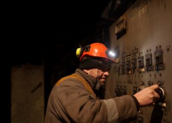 El acompañamiento legal puede evitar errores procesales en las solicitudes migratorias en EEUU