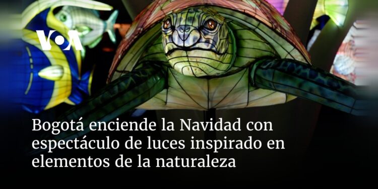 Bogotá enciende la Navidad con espectáculo de luces inspirado en elementos de la naturaleza