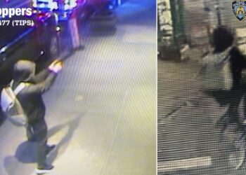 Recuperan ADN de la botella de agua y las balas del sicario que mató a CEO de UnitedHealthcare