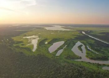 Más de un tercio de las bandas criminales operan en municipios de la selva amazónica de Brasil