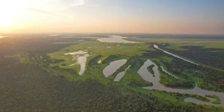 Más de un tercio de las bandas criminales operan en municipios de la selva amazónica de Brasil
