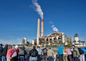 Jóvenes activistas se enfrentan a una agencia gubernamental en una demanda climática en Florida