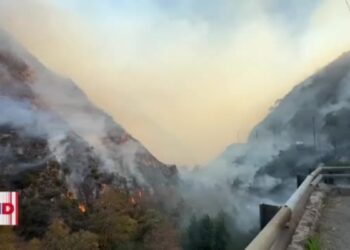 Incendios en California dejan cortes de energía y evacuaciones