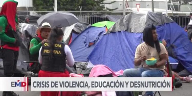 Más de 4.000 indígenas retornan desplazados a Bogotá