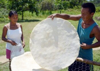 Casabe, un ancestral pan de yuca declarado patrimonio de la humanidad