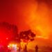 En Fotos | Incendios en en Malibú, California, dejan cortes de energía y evacuaciones