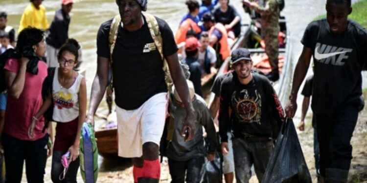 En noviembre el flujo migratorio por el Darién baja en 71% comparado con el mismo mes en 2023