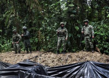 Grupos ilegales de Colombia sacan provecho de política de paz, pero son combatidos: dice jefe militar