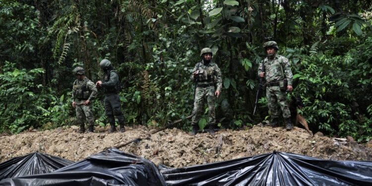 Grupos ilegales de Colombia sacan provecho de política de paz, pero son combatidos: dice jefe militar