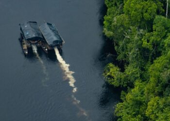 los efectos de la extracción ilegal de oro en la Amazonía peruana
