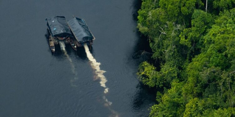 los efectos de la extracción ilegal de oro en la Amazonía peruana