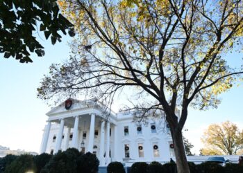 Avance Informativo 2:00 PM | 12/02/2024