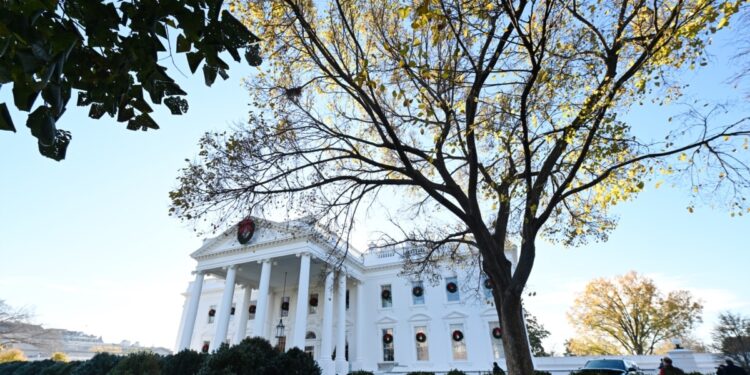 Avance Informativo 2:00 PM | 12/02/2024