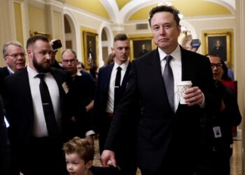Elon Musk lleva la «eficiencia gubernamental» de Trump al Congreso de EEUU