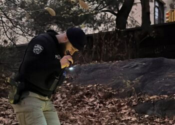 EEUU AL DIA | 12/09/2024