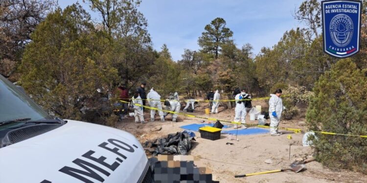 Hallan 56 cadáveres en fosas comunes cerca a la frontera entre México y Estados Unidos