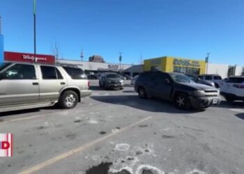 Voluntarios patrullan Chicago para proteger indocumentados