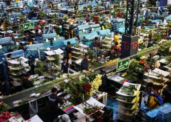 Latinoamérica expectante tras la crisis diplomática entre EEUU y Colombia