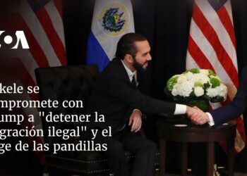 Bukele se compromete con Trump a colaborar en «detener la migración ilegal» y el auge de las pandillas