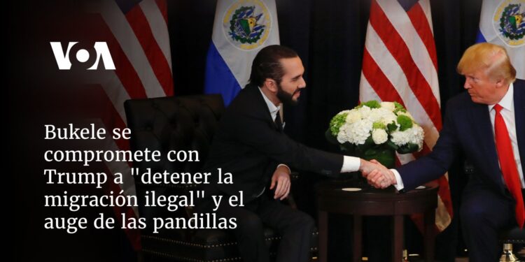 Bukele se compromete con Trump a colaborar en «detener la migración ilegal» y el auge de las pandillas