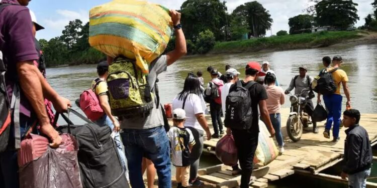 Más de 41.000 personas desplazadas en Catatumbo (Colombia) por la violencia ejercida por grupos armados, según la ONU