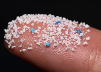 Un estudio encuentra altas concentraciones de plásticos en placentas de bebés prematuros