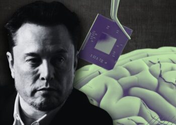 Miami, epicentro de la innovación: Neuralink elige la ciudad para probar su revolucionario implante cerebral