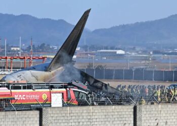 Hallaron ADN de pato en ambos motores del avión de Jeju Air que se estrelló en Corea del Sur y dejó 179 muertos