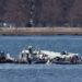 Se reanudan esfuerzos para recuperar restos de las aeronaves implicadas en accidente aéreo de Washington, el peor en más de dos décadas