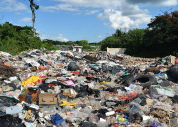 Conmoción en Monagas: Hallan feto en un basurero, le faltaban menos de tres semanas para nacer