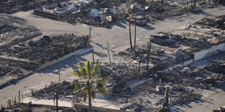 Un informe estima las pérdidas por los incendios en California en miles de millones de dólares