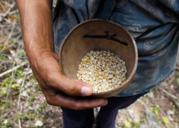 En Honduras preocupa una posible reducción de la ayuda que otorga Estados Unidos