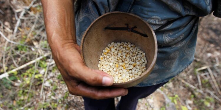 En Honduras preocupa una posible reducción de la ayuda que otorga Estados Unidos