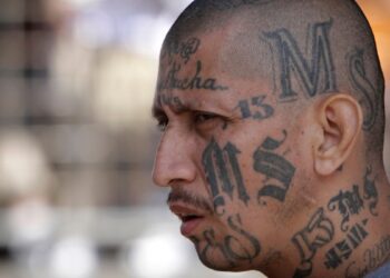 ¿Cómo afectará a la Mara Salvatrucha el ser designada como organización terrorista por EEUU?