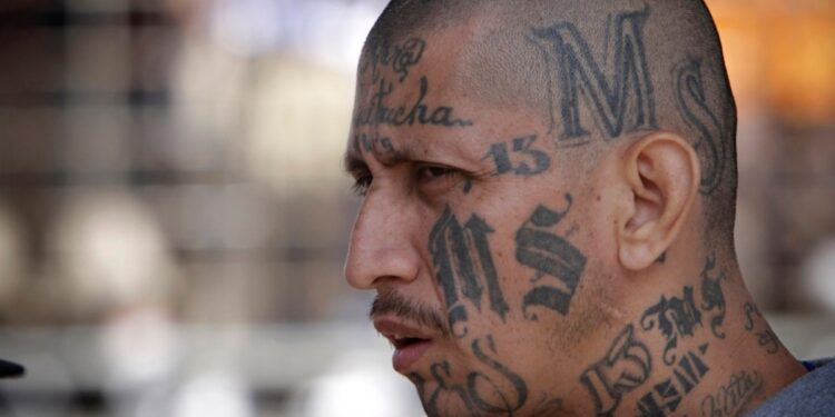 ¿Cómo afectará a la Mara Salvatrucha el ser designada como organización terrorista por EEUU?