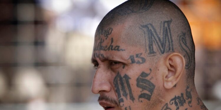 EEUU aún no ha deportado a salvadoreños pero las expectativas son que será un número considerable