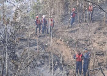 Al menos tres fallecidos al estrellarse avioneta cerca de zona residencial de Caracas