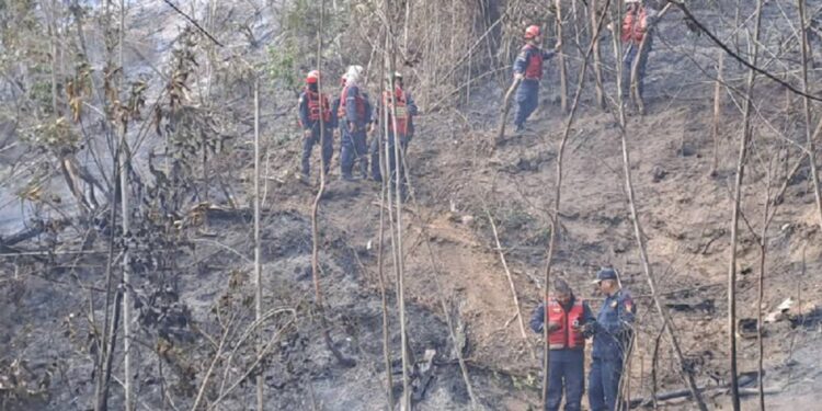Al menos tres fallecidos al estrellarse avioneta cerca de zona residencial de Caracas