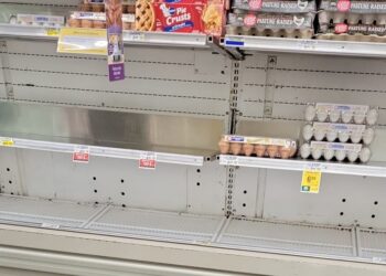 La razón por la que Estados Unidos enfrenta una grave escasez en la producción de huevos